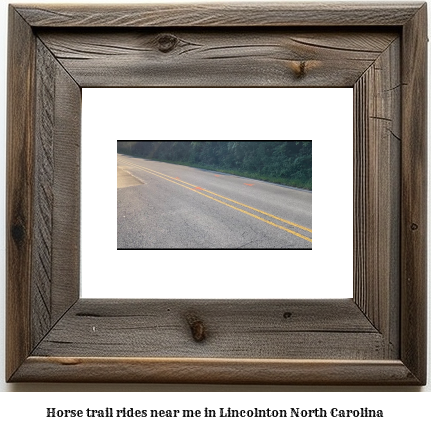 horse trail rides near me in Lincolnton, North Carolina